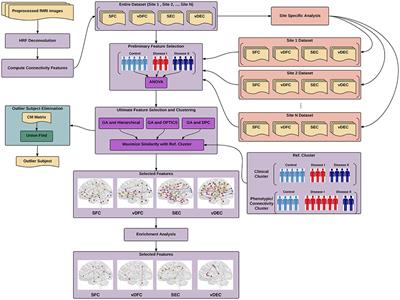 Investigating the Correspondence of Clinical Diagnostic Grouping With Underlying Neurobiological and Phenotypic Clusters Using Unsupervised Machine Learning